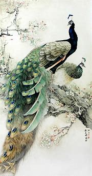 Pintura tradicional china pavo real